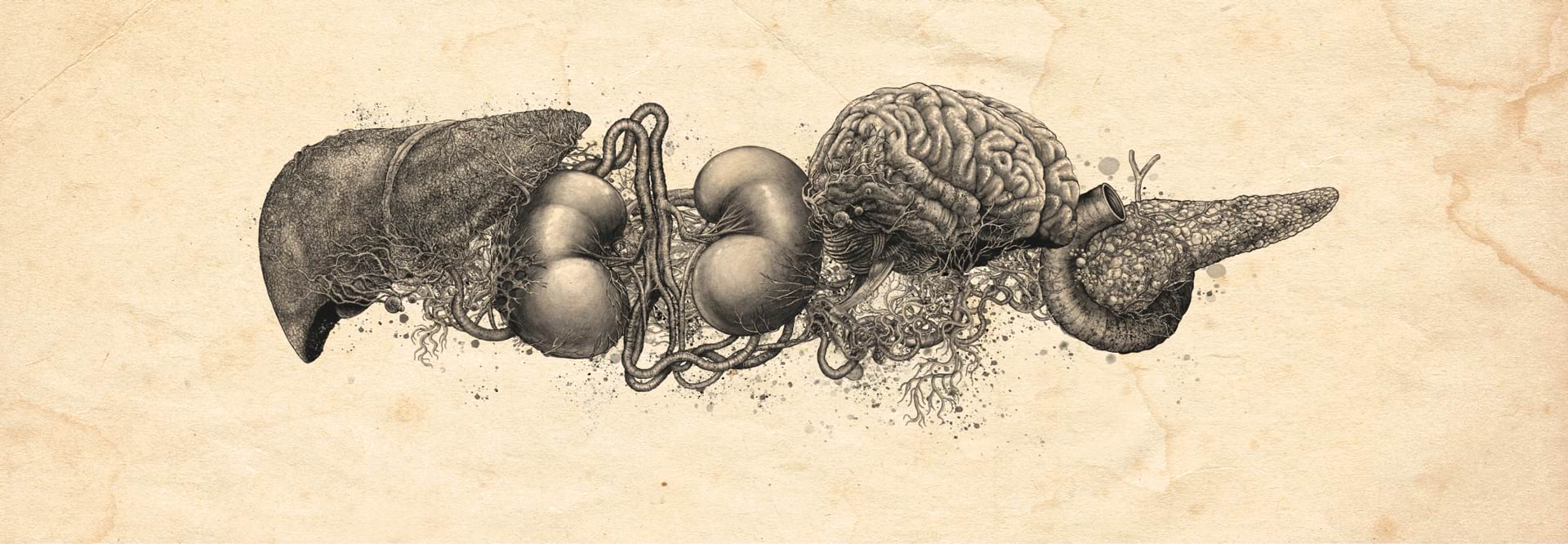 Header IgG4-RD kennen keine Grenzen