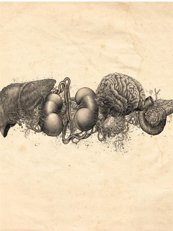 Header IgG4-RD kennen keine Grenzen