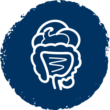 Icon Magen-Darm