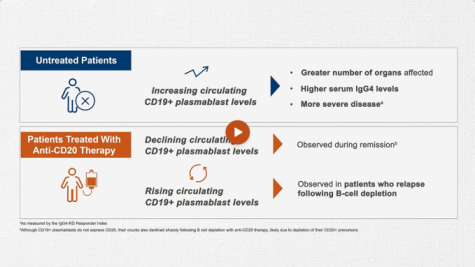 Understanding IgG4-RD Pathophysiology
