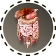 Bild Retroperitoneum